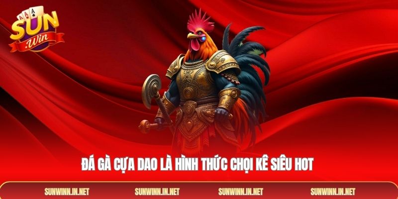 Đá gà cựa dao là hình thức chọi kê siêu hot