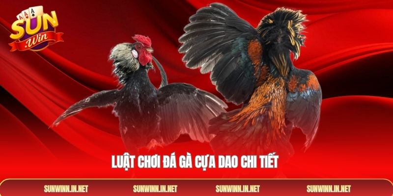 Luật chơi đá gà cựa dao chi tiết